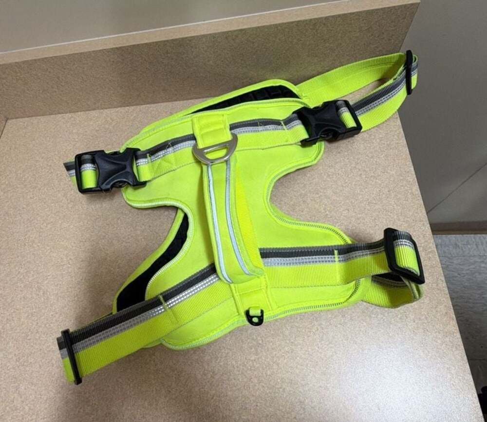 Padded Reflective Dog Harness XXL - Bright Neon Yellow/Green - Heavy Duty